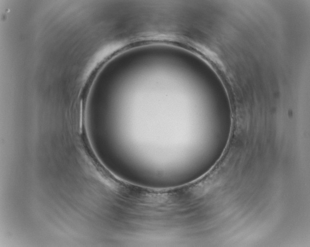 X0000089411223200706151243