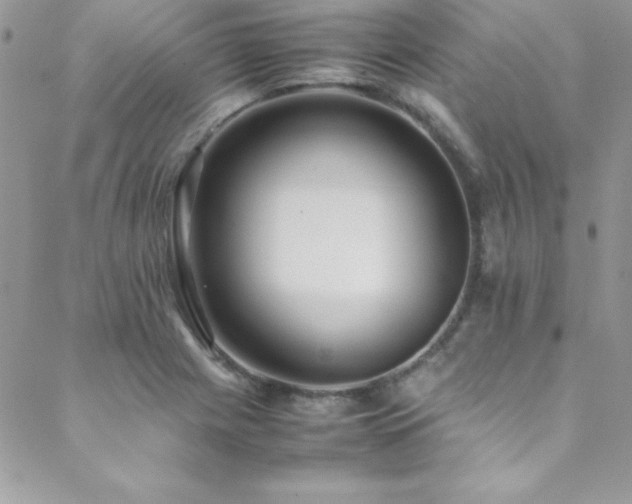 X0000089411225200706151243