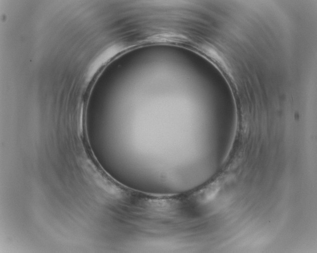 X0000089411227200706151243