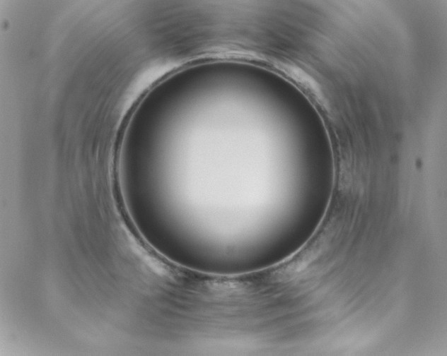 X0000089411231200706151243