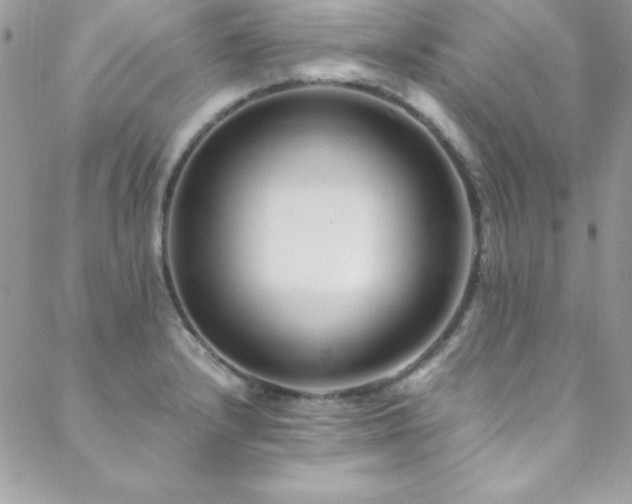 X0000089411232200706151243