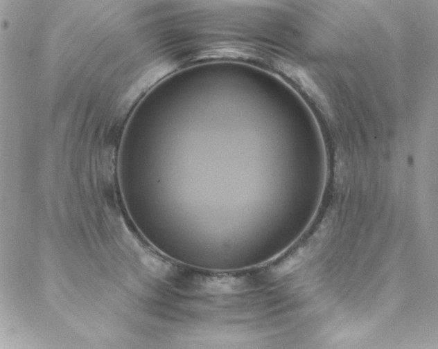 X0000089411233200706151243