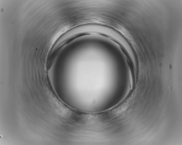 X0000089411234200706151243