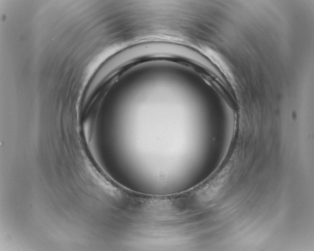 X0000089411238200706151244