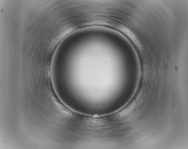 X0000089411241200706151244