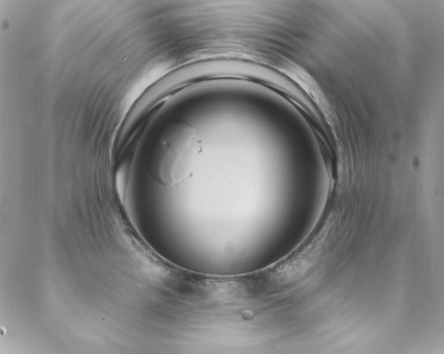 X0000089411242200706151244
