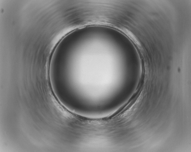 X0000089411246200706151244