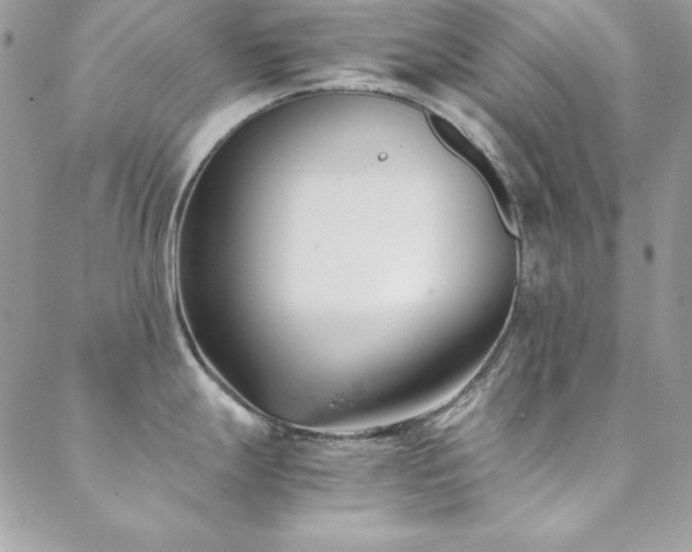 X0000089411247200706151244
