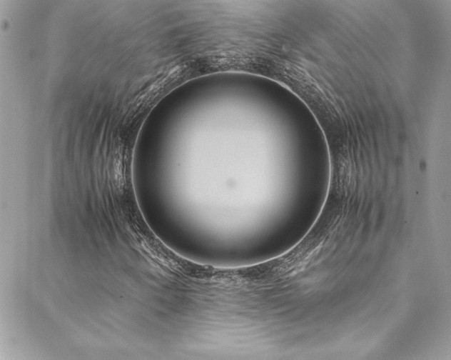 X0000089411250200706151243