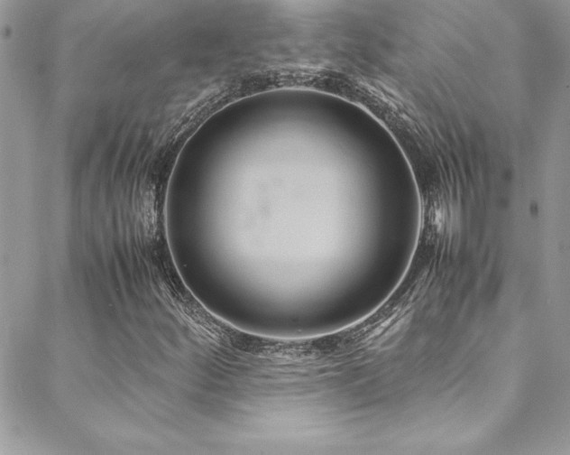 X0000089411252200706151243