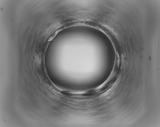 X0000089411257200706151243