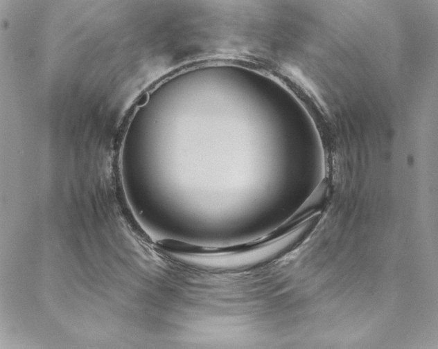 X0000089411260200706151243