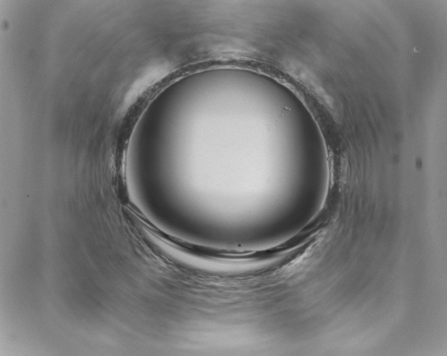 X0000089411261200706151243
