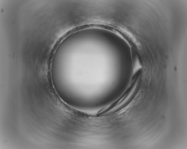 X0000089411264200706151243