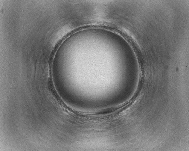 X0000089411267200706151243