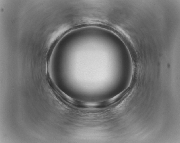 X0000089411269200706151243