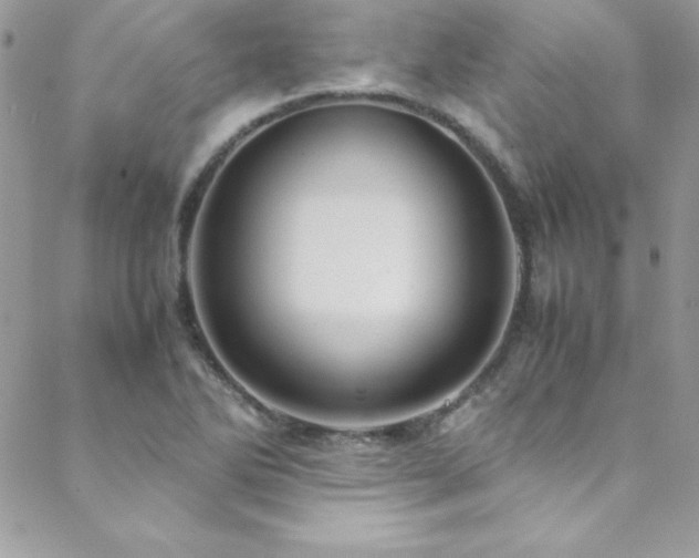 X0000089411270200706151243