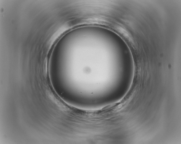 X0000089411275200706151242