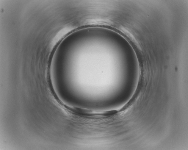 X0000089411277200706151242