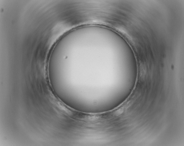 X0000089411278200706151242