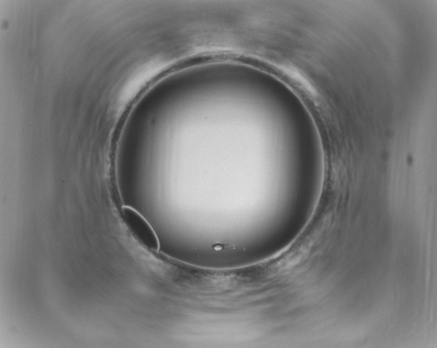 X0000089411279200706151242