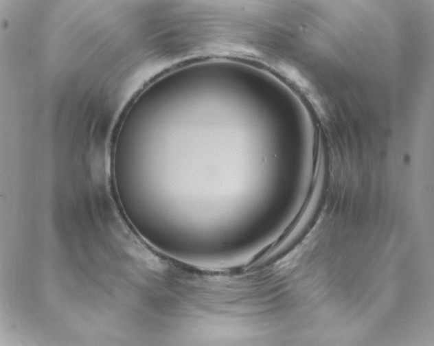 X0000089411280200706151242