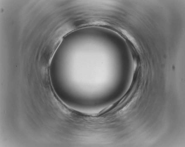 X0000089411281200706151242