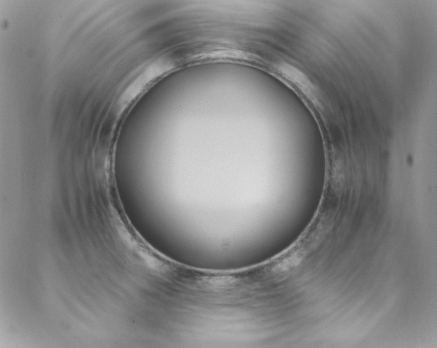 X0000089411282200706151242