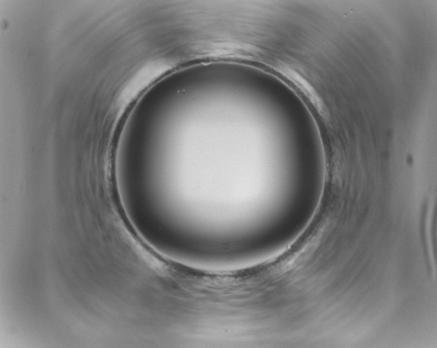 X0000089411285200706151242