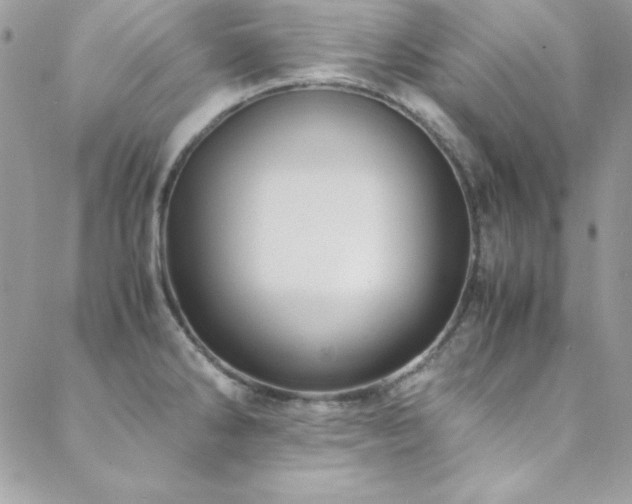 X0000089411286200706151242