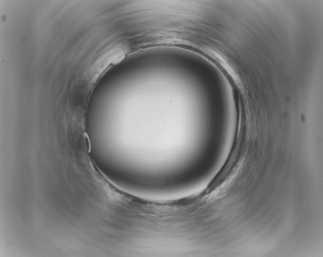 X0000089411289200706151242