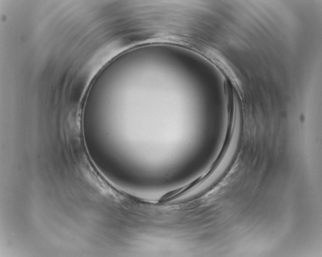 X0000089411292200706151242