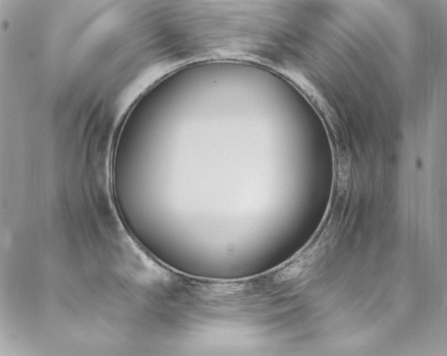 X0000089411294200706151242