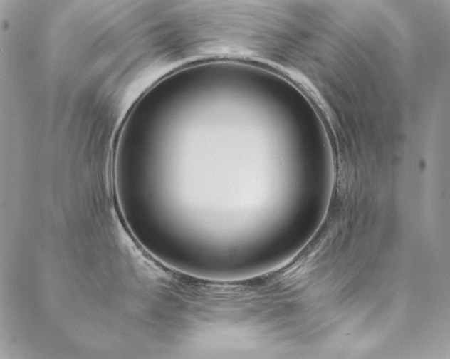 X0000089411295200706151242