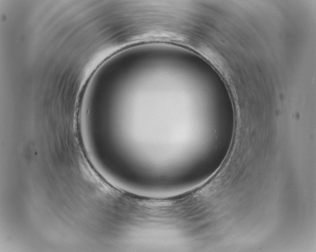 X0000089411296200706151242