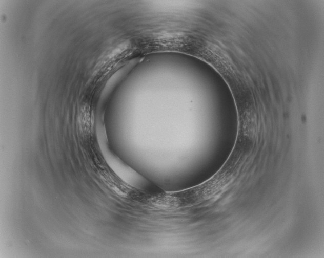 X0000089411298200706151241