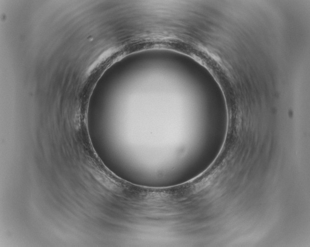 X0000089411306200706151242