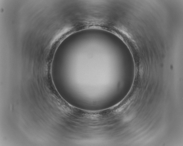 X0000089411309200706151242