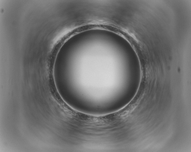 X0000089411311200706151242