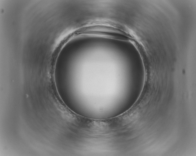 X0000089411312200706151242