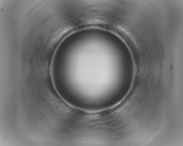 X0000089411313200706151242