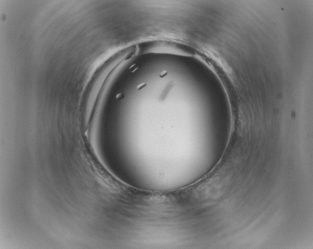 X0000089411316200706151242