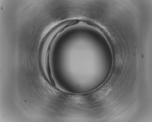 X0000089411319200706151242