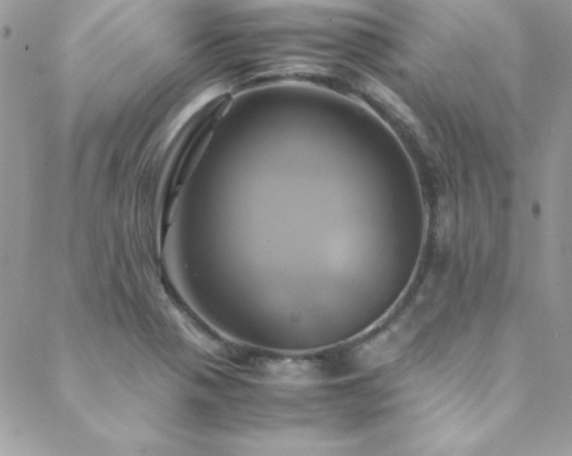 X0000089411321200706151242