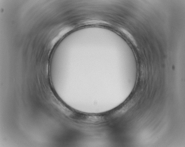 X0000089411322200706151242
