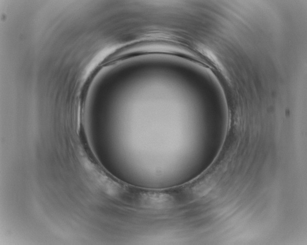 X0000089411323200706151242