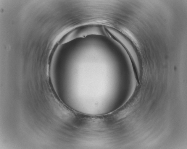 X0000089411324200706151242