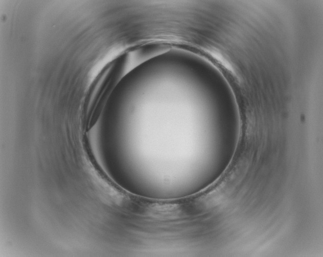 X0000089411325200706151242