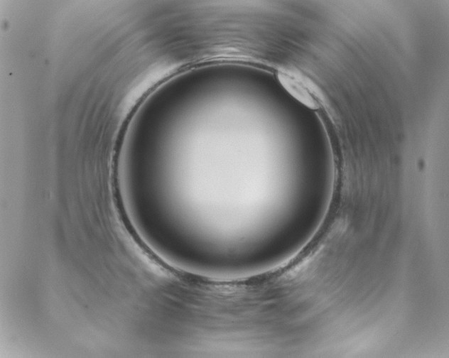 X0000089411333200706151242