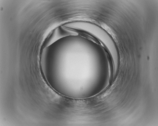 X0000089411334200706151242